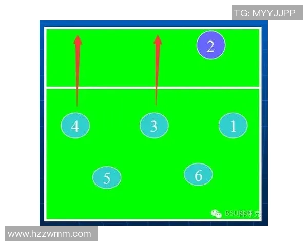 成都排球队的控制打法深度解析与战术应用探讨